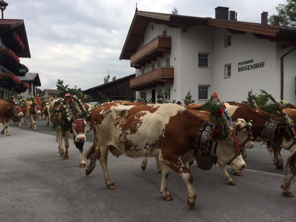 Pension Rosenhof Brixen im Thale Exterior foto